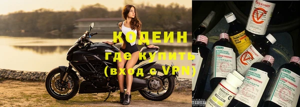 ешки Богданович