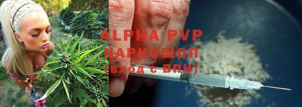 ешки Богданович