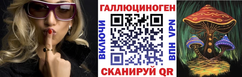 Псилоцибиновые грибы Psilocybine cubensis  Купить закладки  Пучеж 